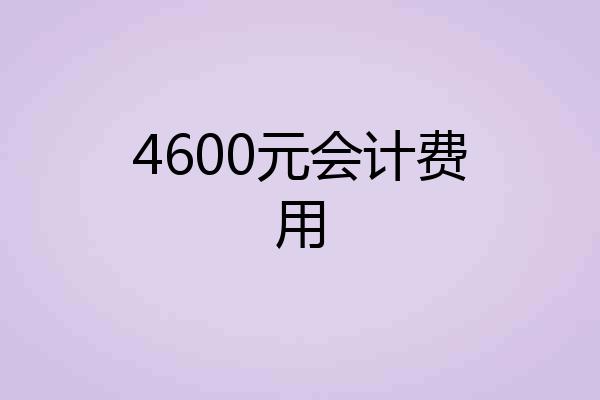 4600元会计费用