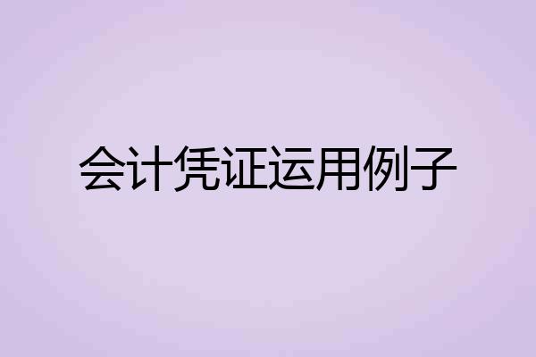 会计凭证运用例子