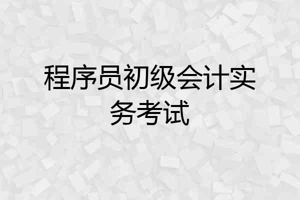 程序员初级会计实务考试