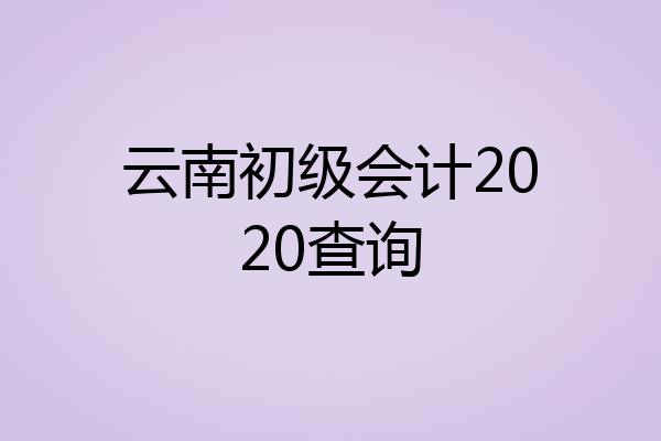 云南初级会计2020查询