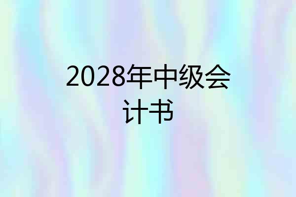 2028年中级会计书