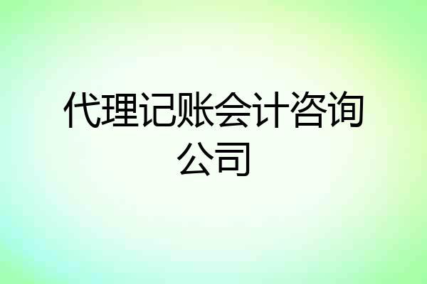 代理记账会计咨询公司