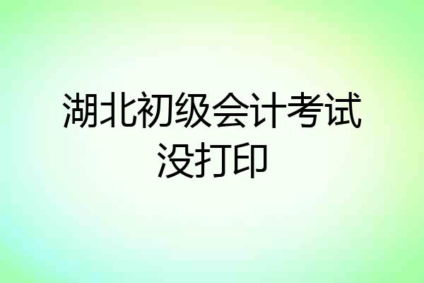 湖北初级会计考试没打印