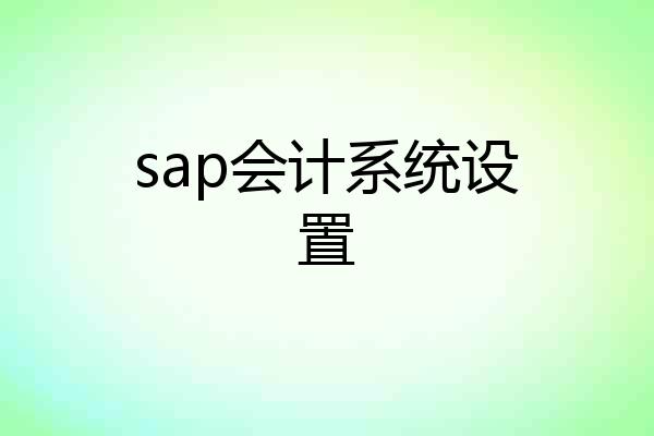 sap会计系统设置