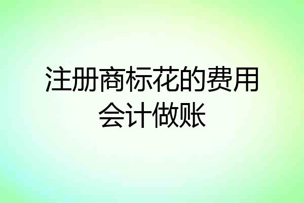 注册商标花的费用会计做账