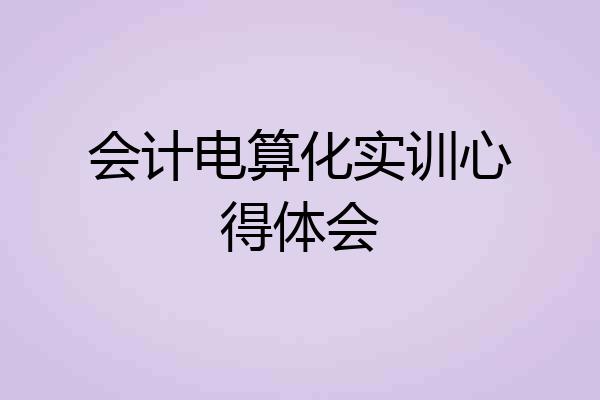 会计电算化实训心得体会