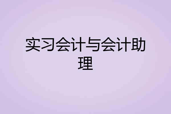 实习会计与会计助理