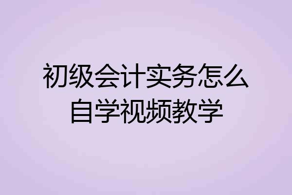 初级会计实务怎么自学视频教学