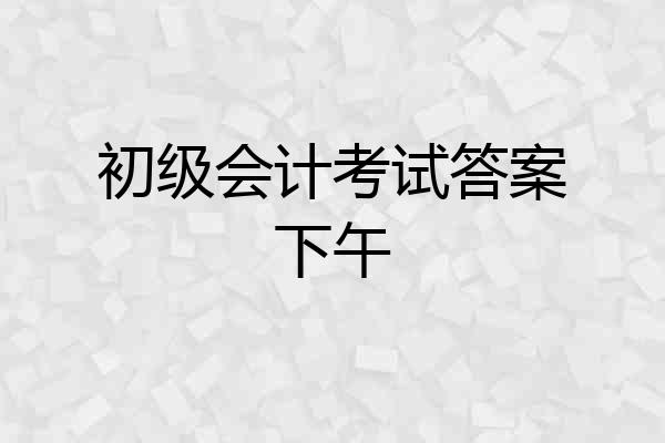 初级会计考试答案下午