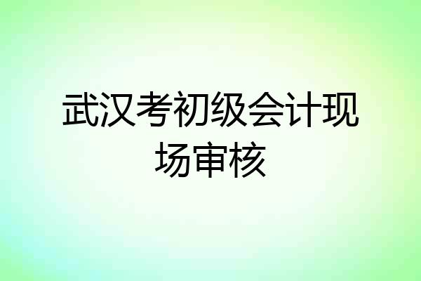武汉考初级会计现场审核