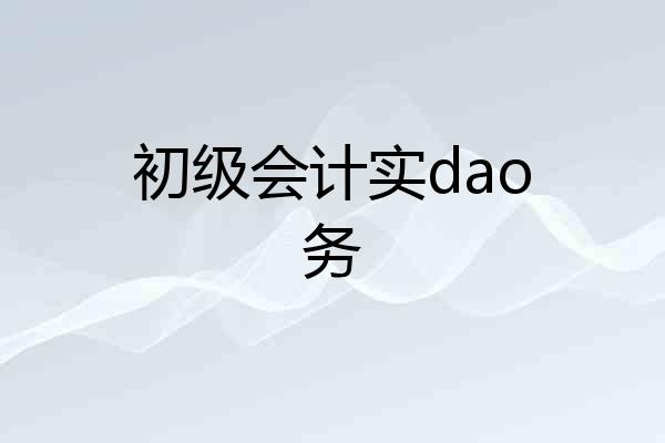 初级会计实dao务