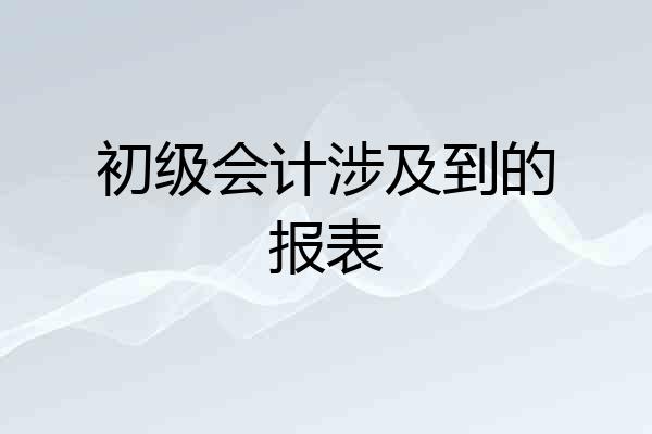 初级会计涉及到的报表