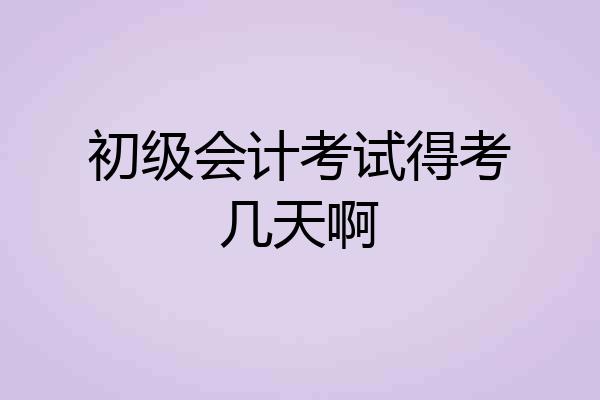 初级会计考试得考几天啊