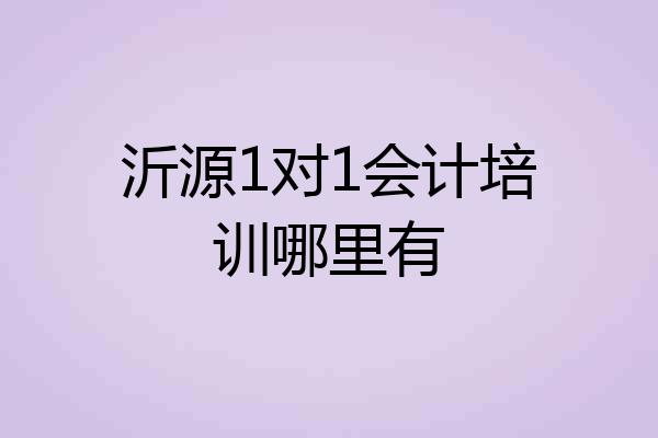 沂源1对1会计培训哪里有