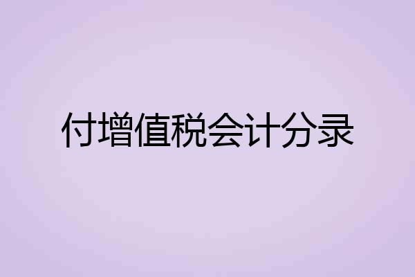 付增值税会计分录