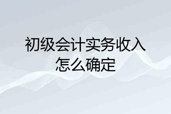 初级会计实务收入怎么确定