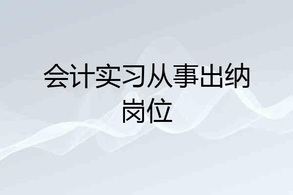 会计实习从事出纳岗位