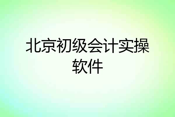北京初级会计实操软件