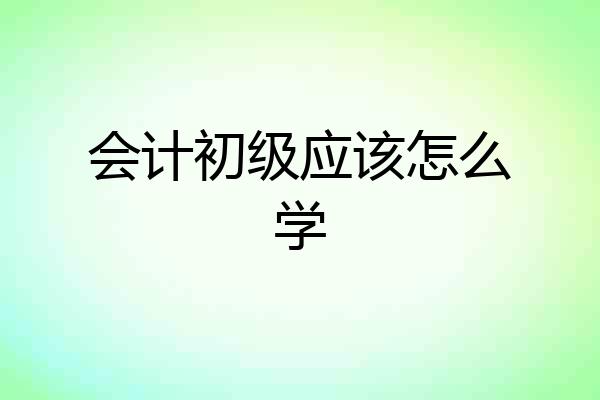 会计初级应该怎么学