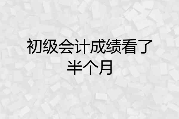 初级会计成绩看了半个月
