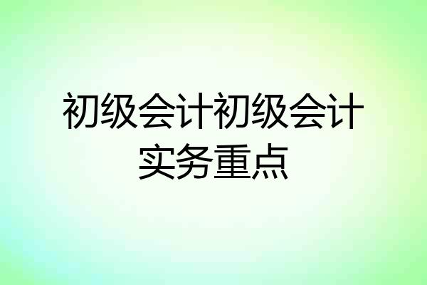 初级会计初级会计实务重点