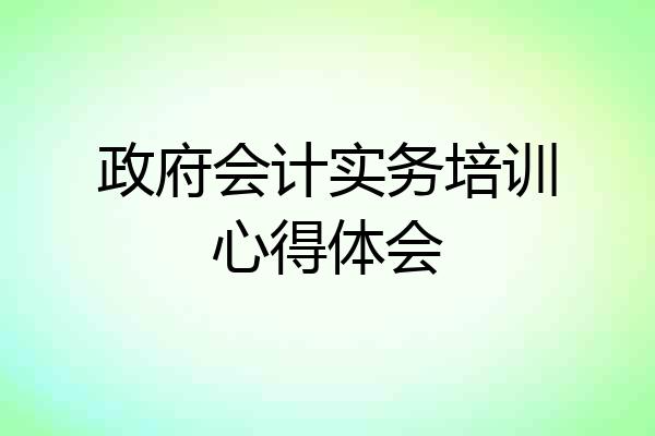 政府会计实务培训心得体会
