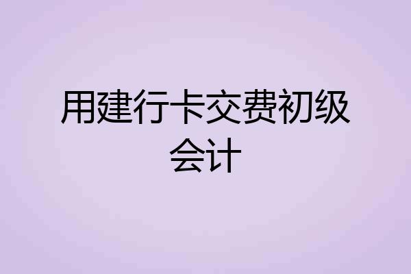 用建行卡交费初级会计