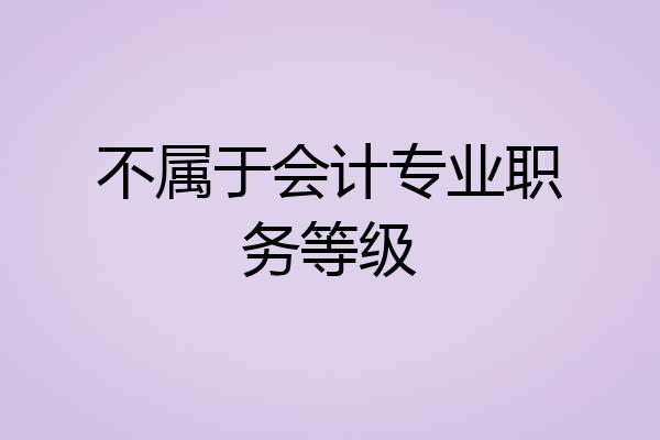 不属于会计专业职务等级