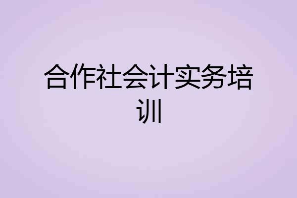 合作社会计实务培训