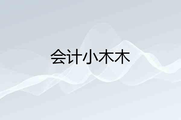 会计小木木