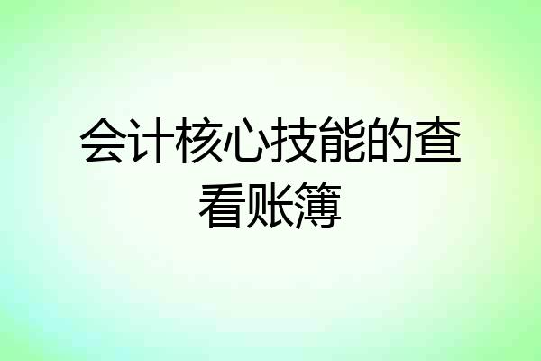 会计核心技能的查看账簿