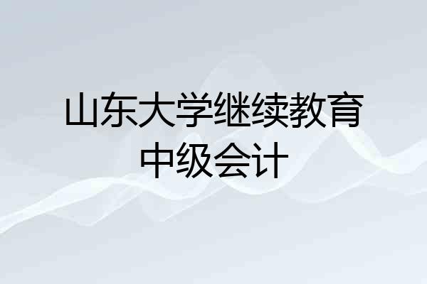 山东大学继续教育中级会计
