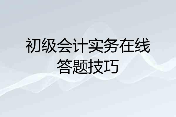 初级会计实务在线答题技巧