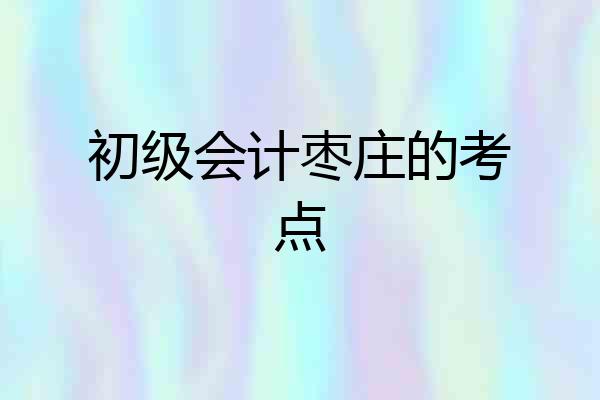 初级会计枣庄的考点