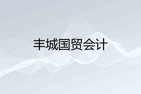 丰城国贸会计