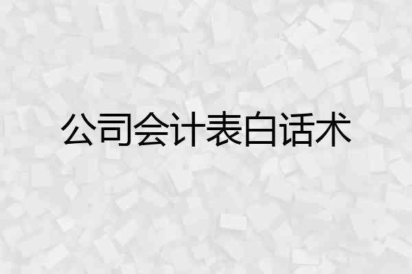 公司会计表白话术