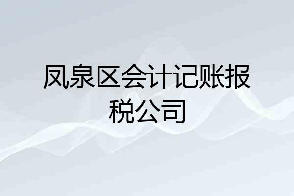 凤泉区会计记账报税公司