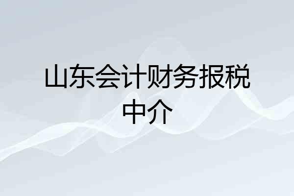 山东会计财务报税中介