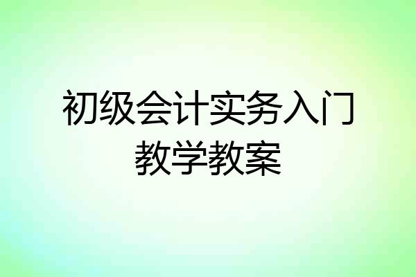 初级会计实务入门教学教案