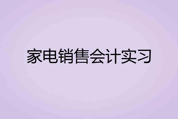 家电销售会计实习