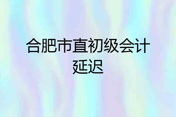 合肥市直初级会计延迟