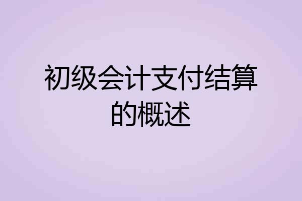 初级会计支付结算的概述