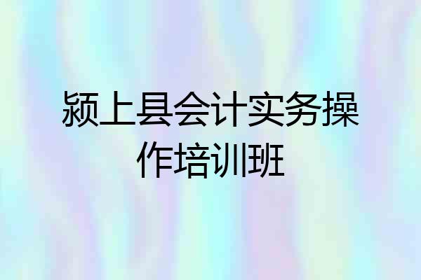 颍上县会计实务操作培训班