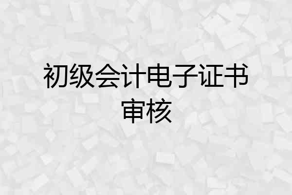 初级会计电子证书审核