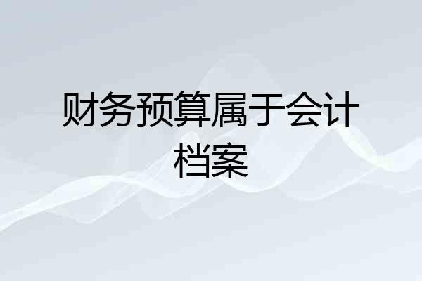 财务预算属于会计档案
