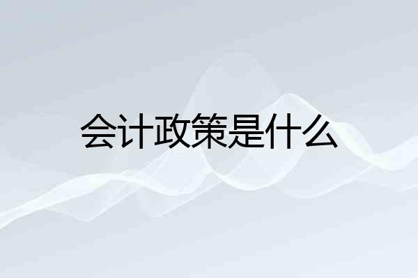 会计政策是什么