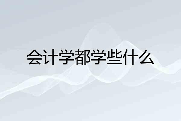 会计学都学些什么