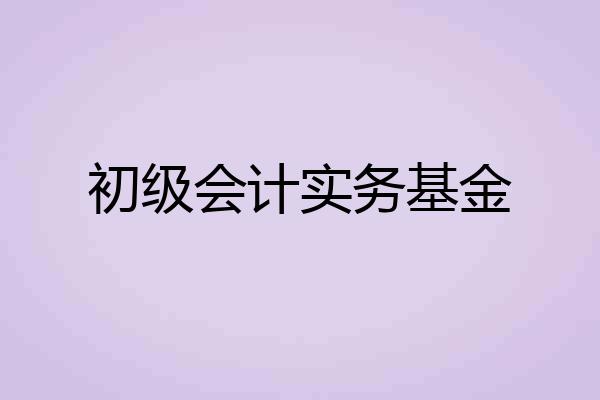 初级会计实务基金