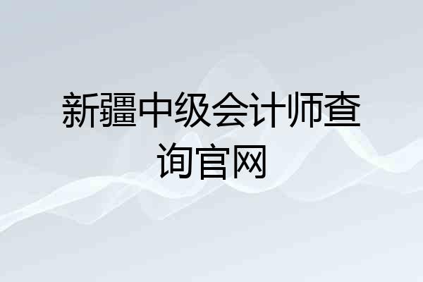 新疆中级会计师查询官网
