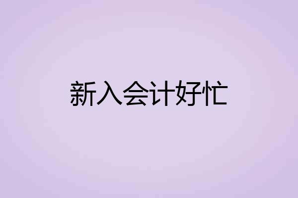 新入会计好忙